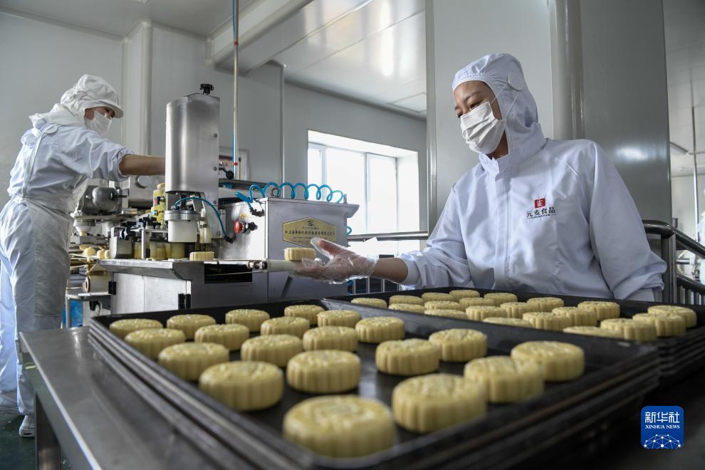金鲨银鲨游戏